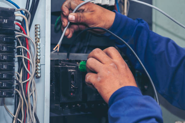 Best Electrical System Inspection  in Manson, IA