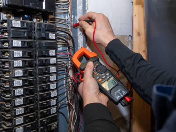 Best Electric Panel Repair  in Manson, IA